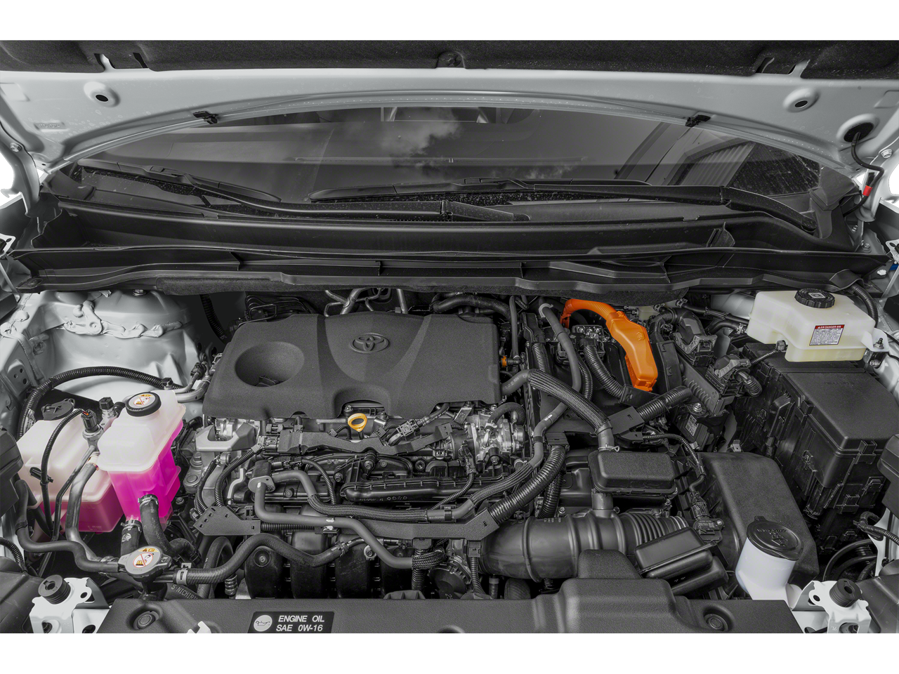 2022 Toyota Sienna XLE Woodland Edition